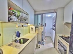 A Treasure Trove (D19), Condominium #513867601